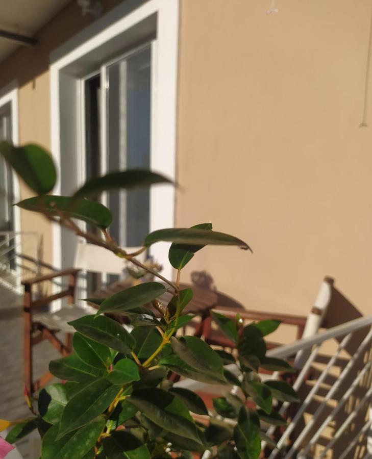 Apartmani Vico 헤르섹 외부 사진